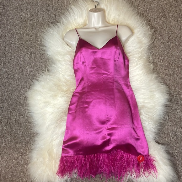 CAMI NYC Roxanne Feather Dress NWT - Picture 9 of 11